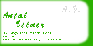 antal vilner business card